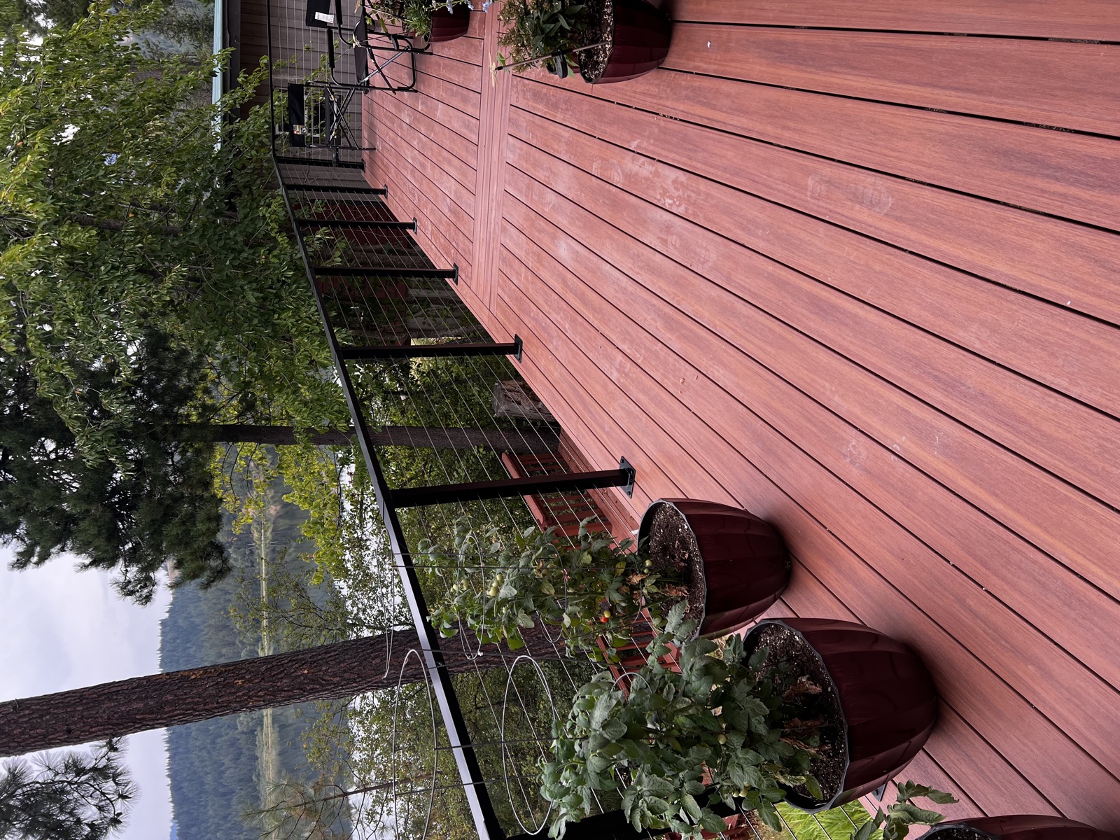 Newly built cable-rail wood deck stained in warm reddish-brown tones, with potted tomatoes and a container garden lining the railing